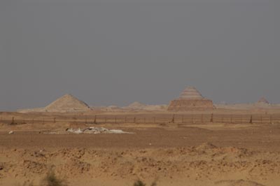 the pyramid field