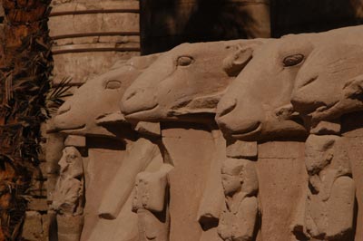 Ram Sphinx
